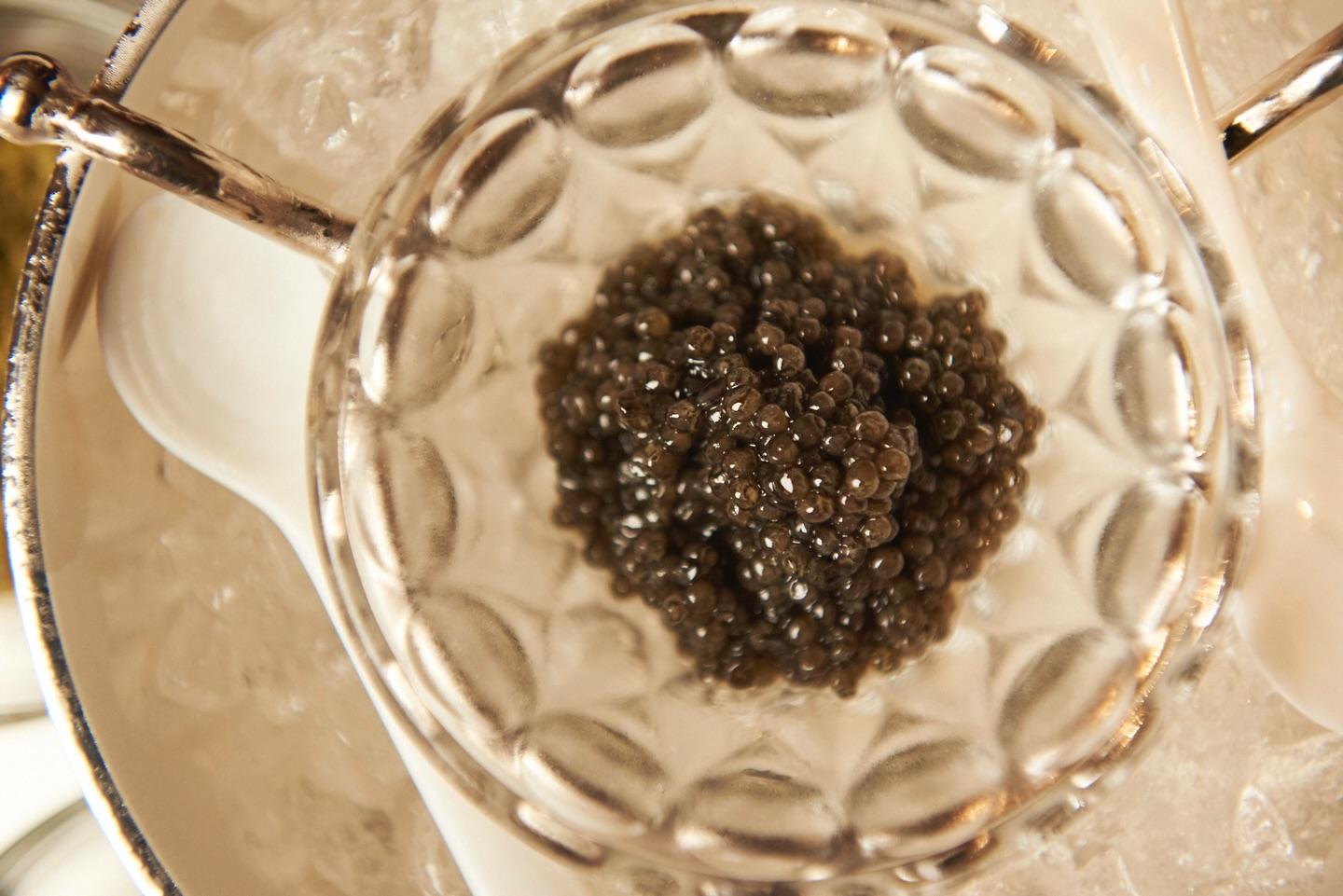 迷われた際には、コース料理をお選びいただくのが安心です。